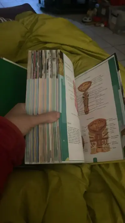 Manual de Enfermería Zamora en buen estado - miniatura 5