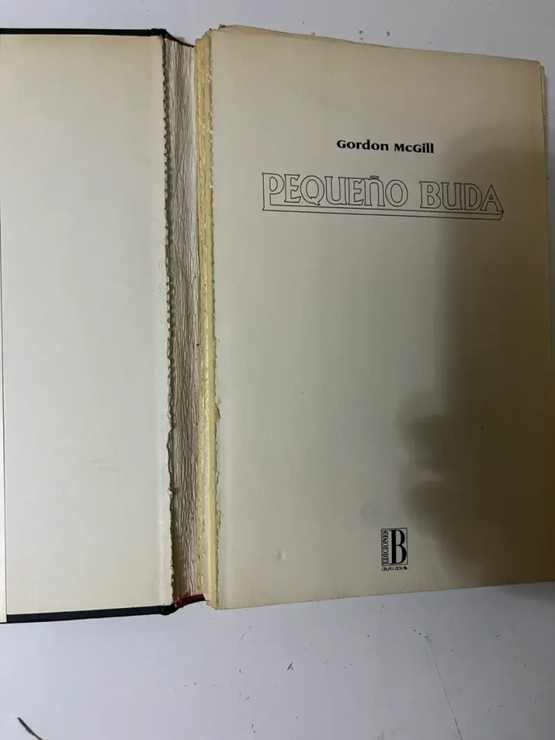 Libro 'Pequeño Buda' de Gordon McGill - 2