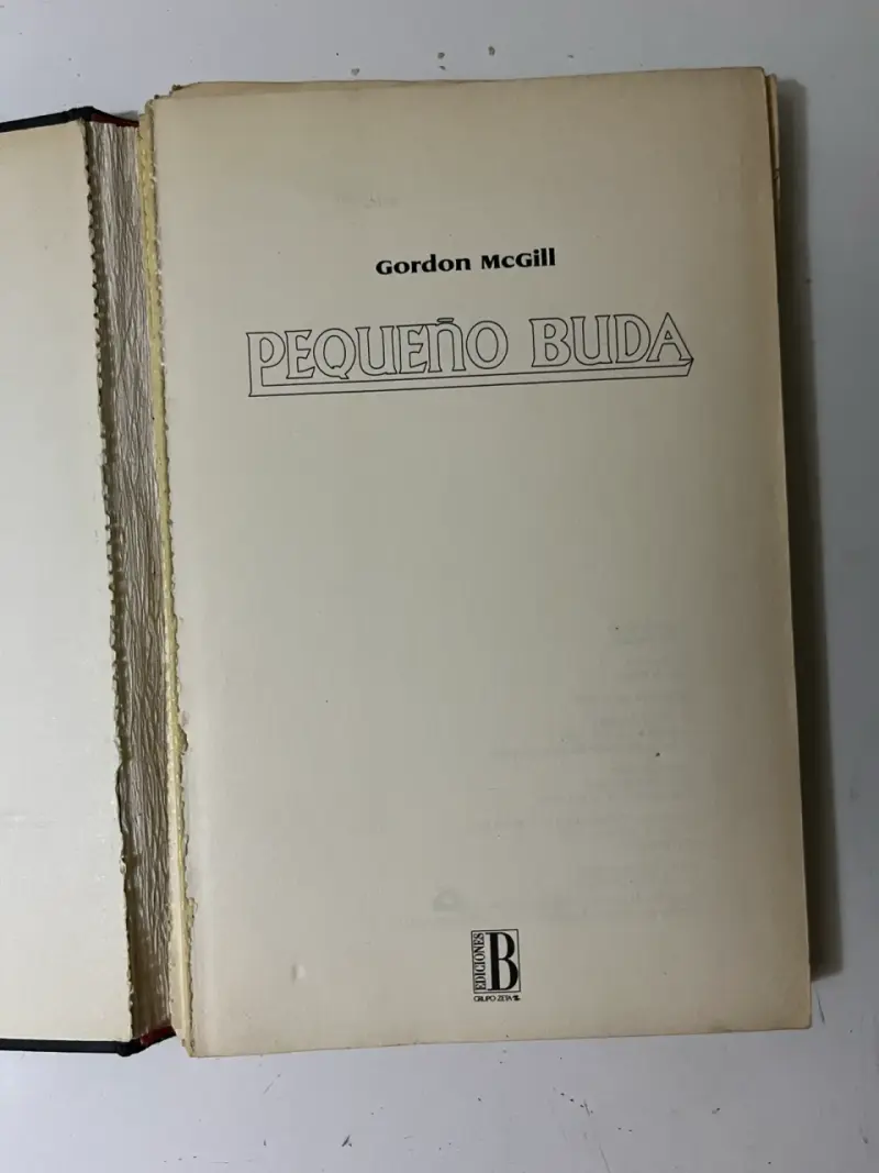 Libro 'Pequeño Buda' de Gordon McGill - 3