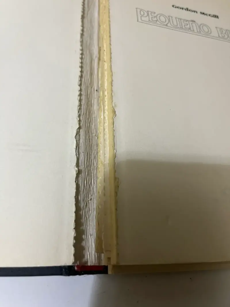 Libro 'Pequeño Buda' de Gordon McGill - 4