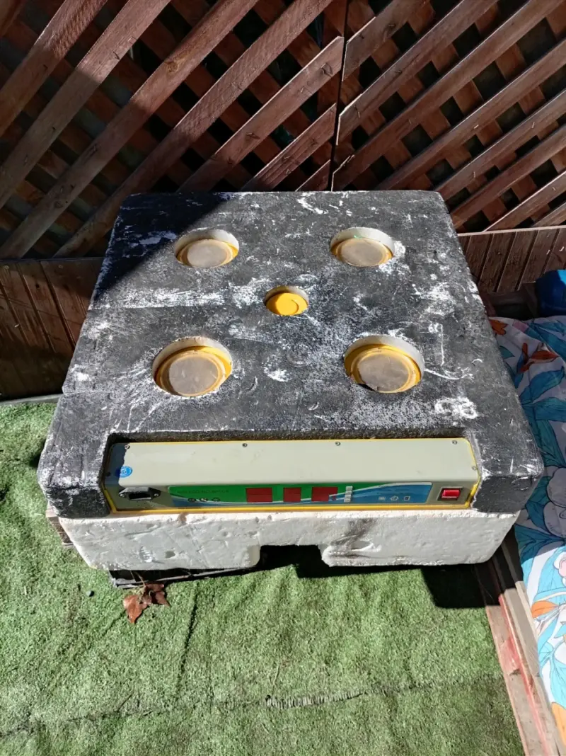 Incubadora de huevos automática con control digital - 1