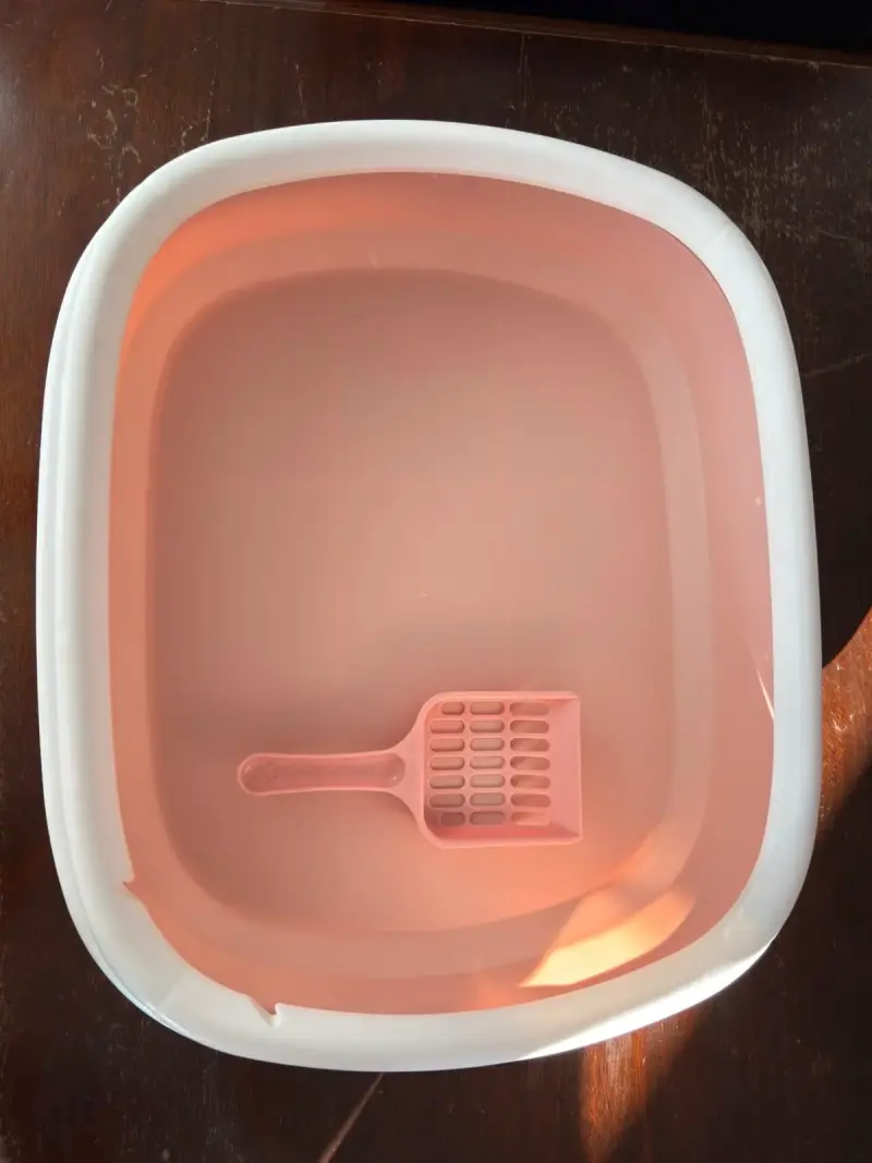 Arenero para gatos con pala incluida