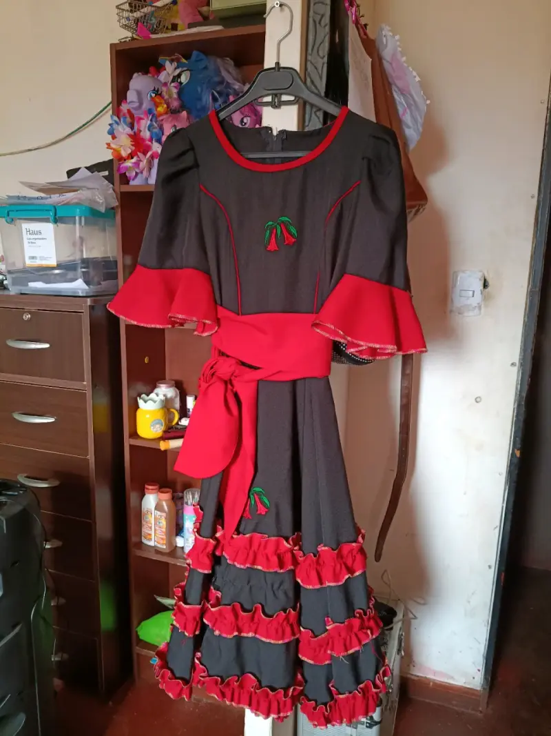 Vestido tradicional folclórico con detalles coloridos - 2