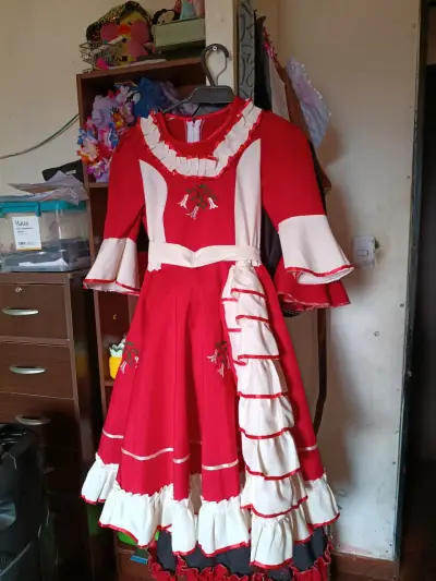 Vestido tradicional folclórico con detalles coloridos - miniatura 3