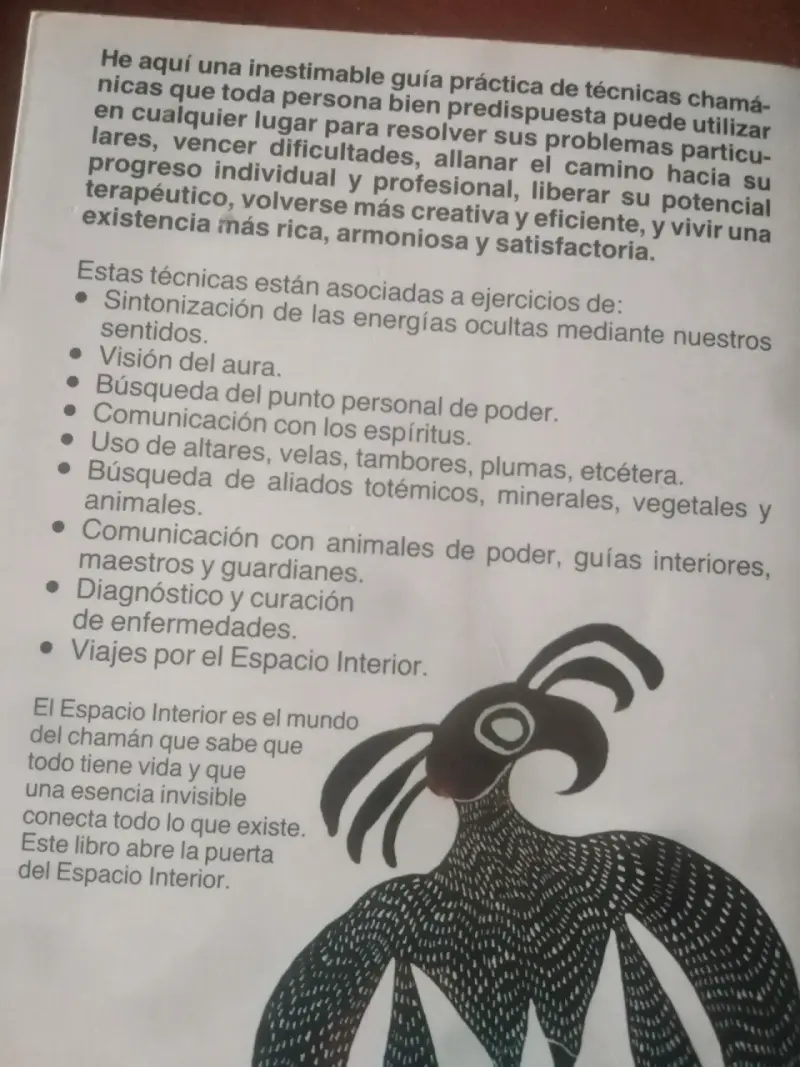 Libro Iniciación Chamánica de Kenneth Meadows - 2