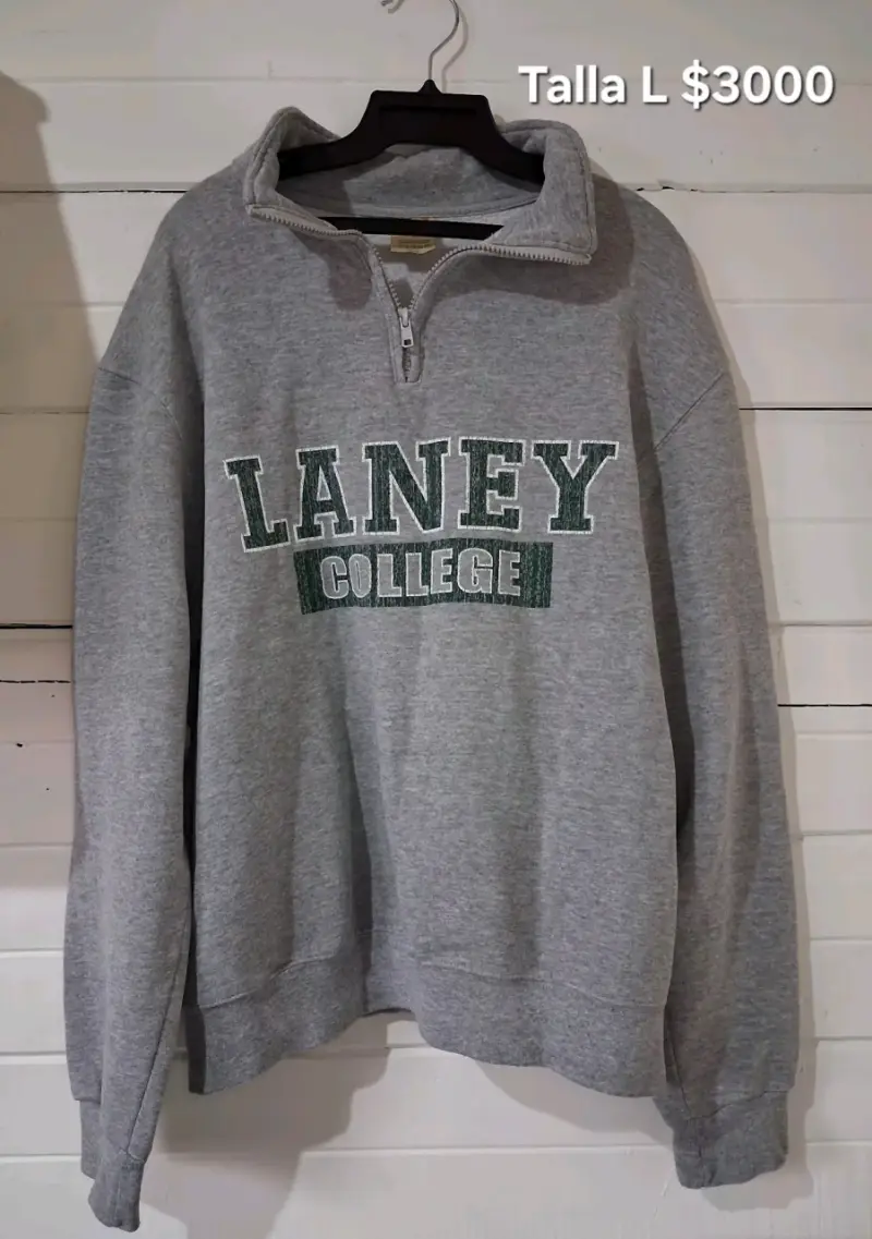 Sweater y polerones - 2