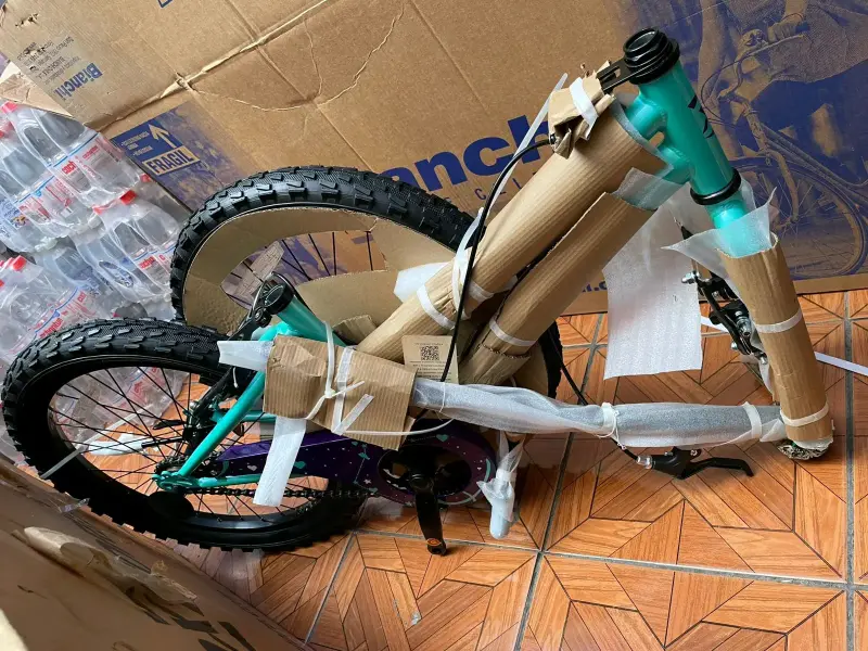 Bicicleta Infantil Oxford Luna Verde Aro 20 - 2