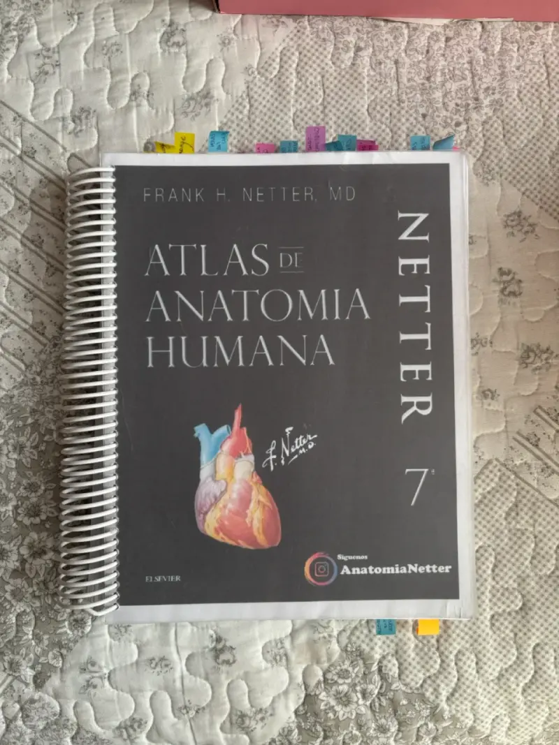 Atlas de Anatomía Humana Netter 7ma Edición
