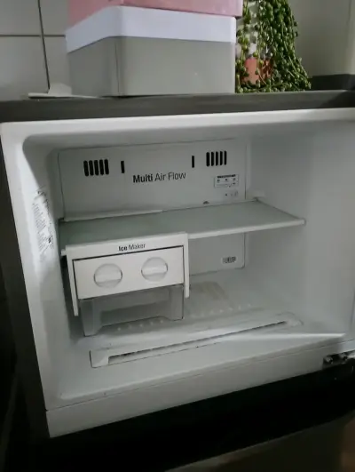 Refrigerador LG Inverter Linear - miniatura 4