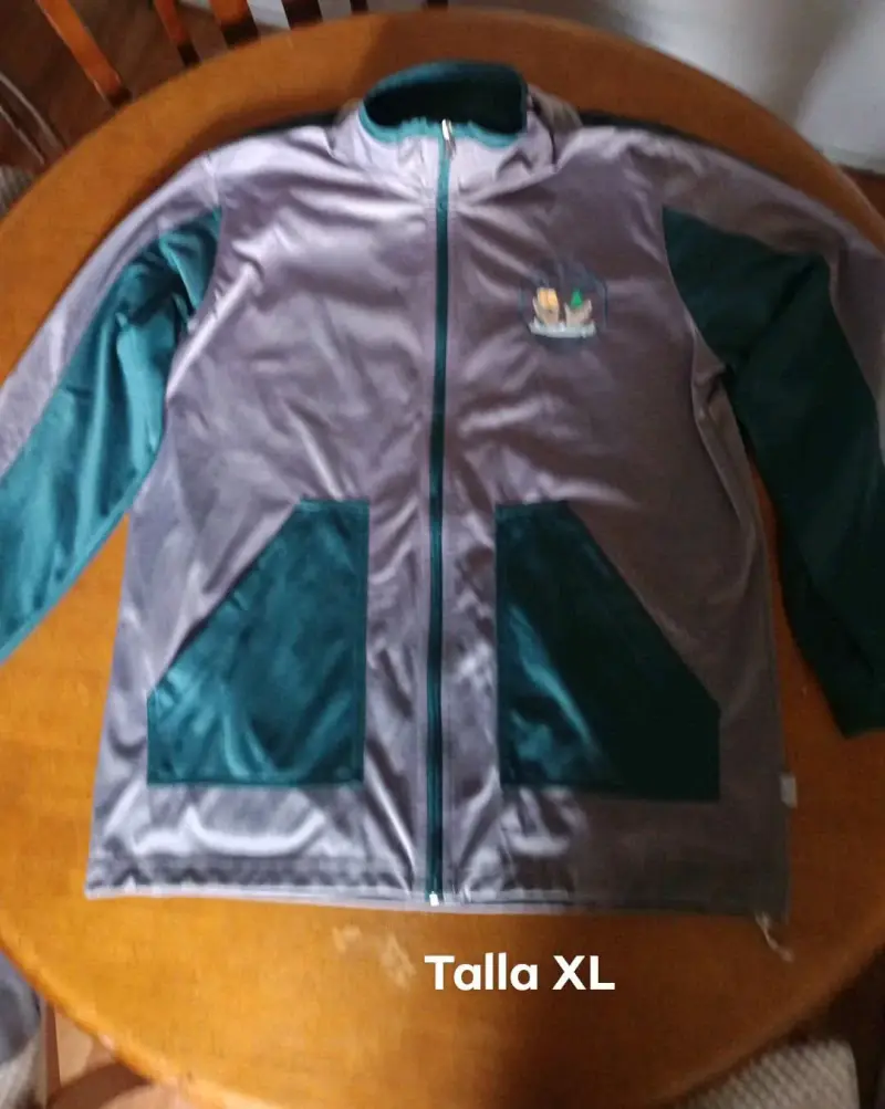 Polera Verde Manga Larga Talla L - 2