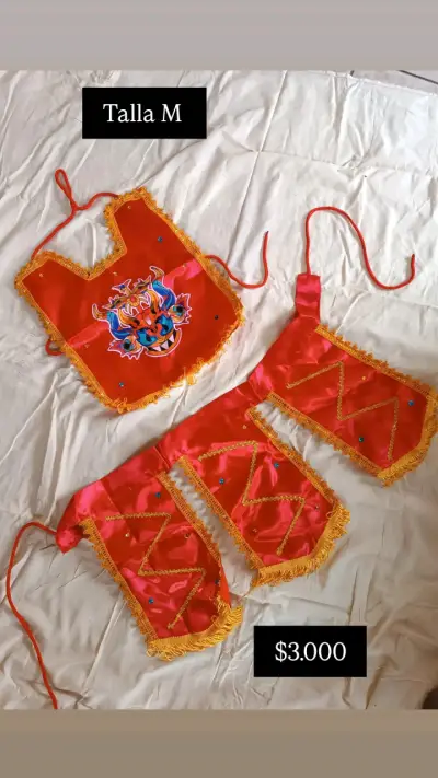 Traje de Danza Tradicional con Bordados - miniatura 1