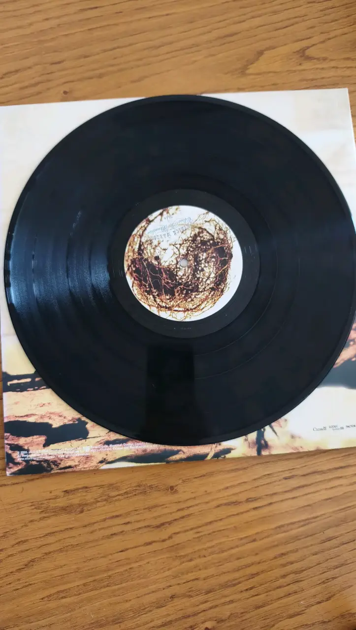 Vinilo Patrick Watson Close To Paradise - 4