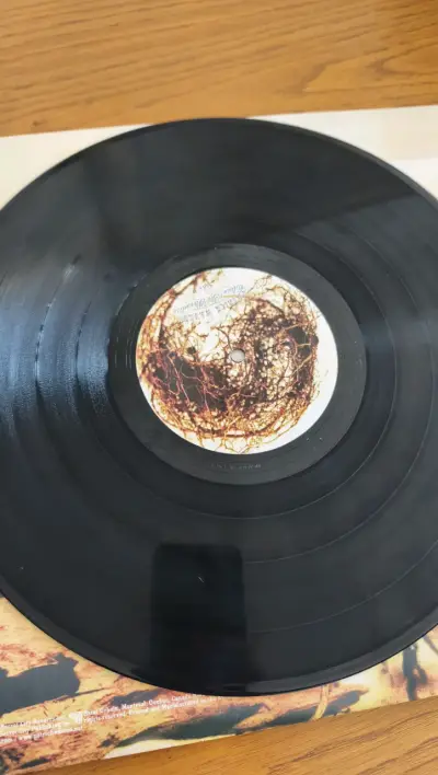 Vinilo Patrick Watson Close To Paradise - miniatura 5