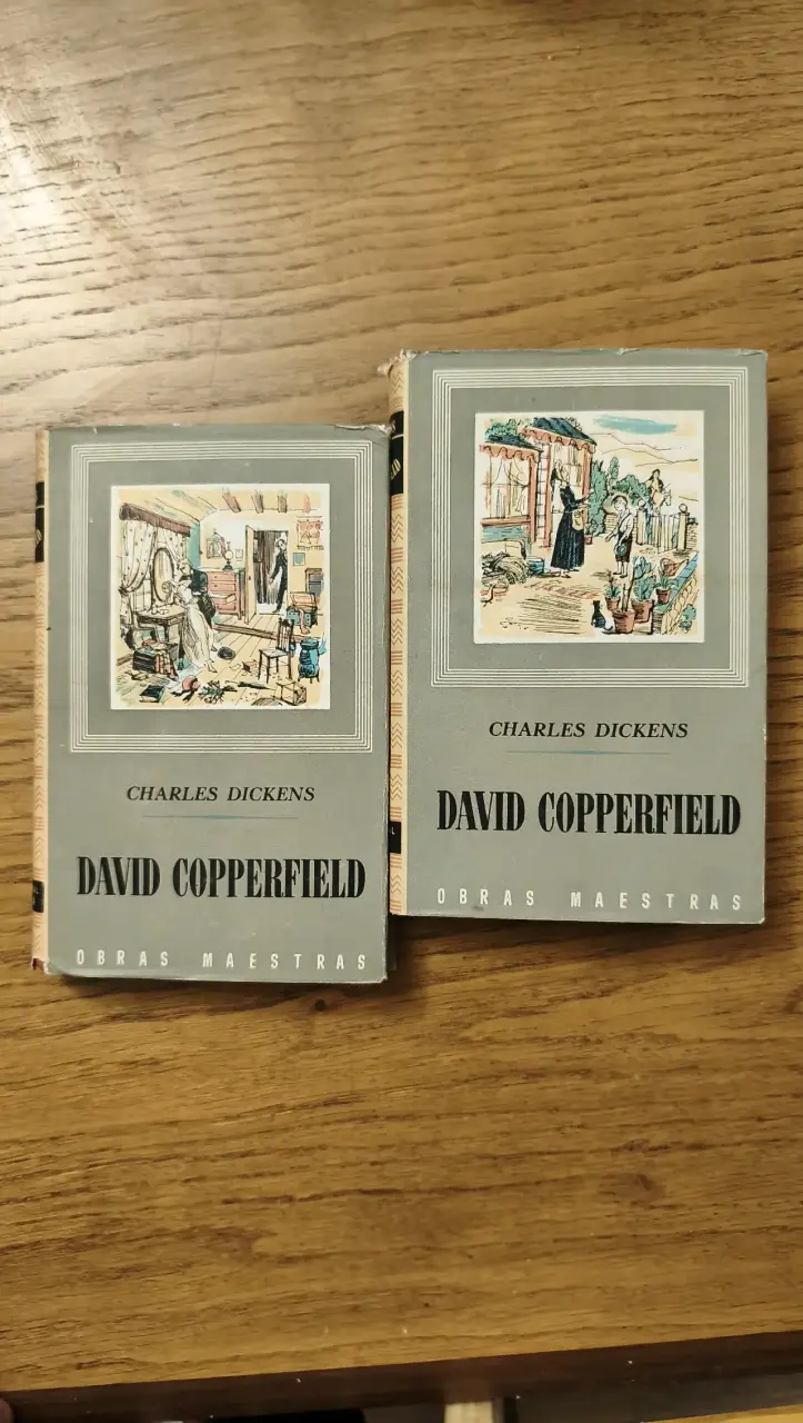 Libros David Copperfield de Charles Dickens - 1