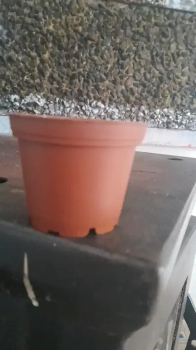 Macetero pequeño de plástico marrón - miniatura 2