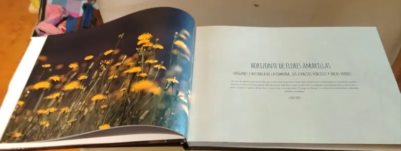 Libro Parques y Plazas de Ñuñoa - 3