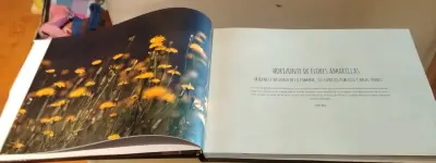 Libro Parques y Plazas de Ñuñoa - miniatura 3