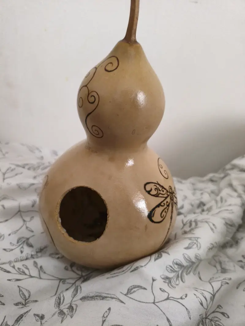 Casa de pájaro con calabaza a mano - 1