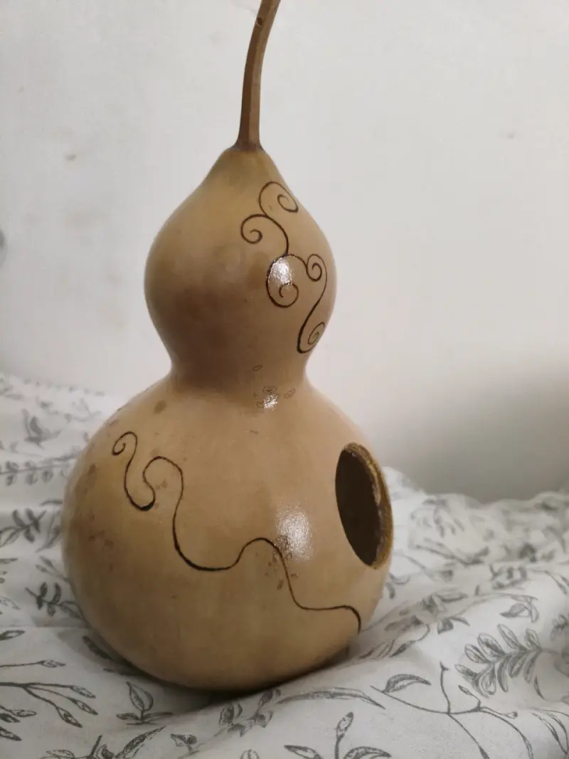 Casa de pájaro con calabaza a mano - 2
