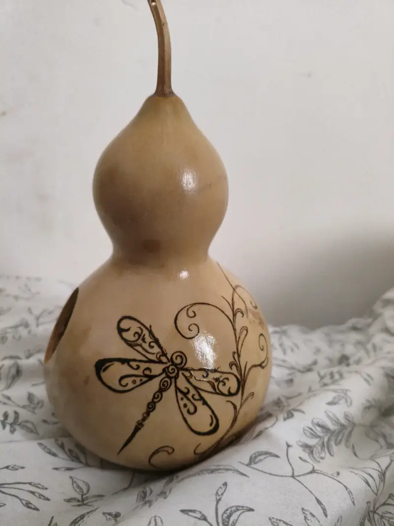 Casa de pájaro con calabaza a mano - 4