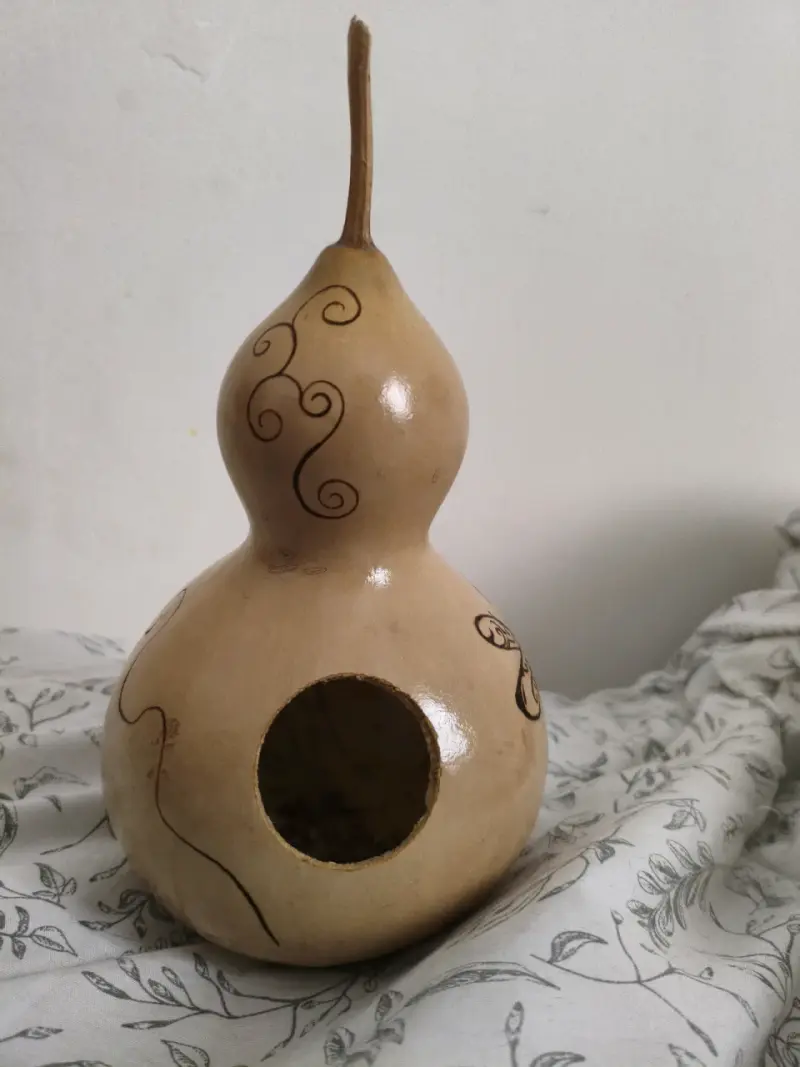 Casa de pájaro con calabaza a mano - 5