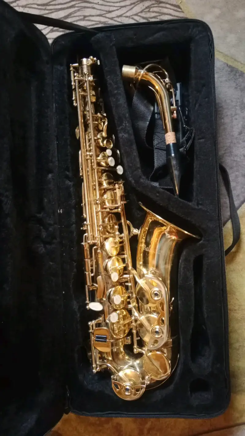 Saxofón Alto Dorado con Estuche - 1