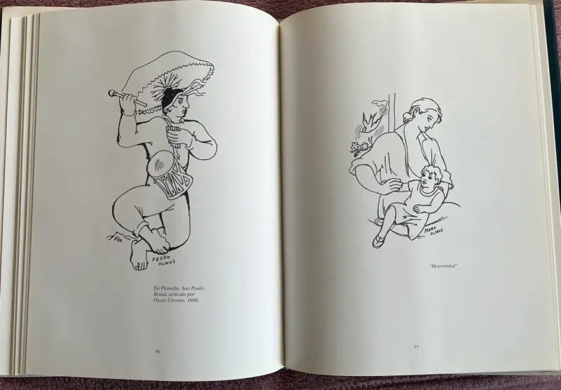 Libro Pedro Olmos El Color de la Chilenidad - 3
