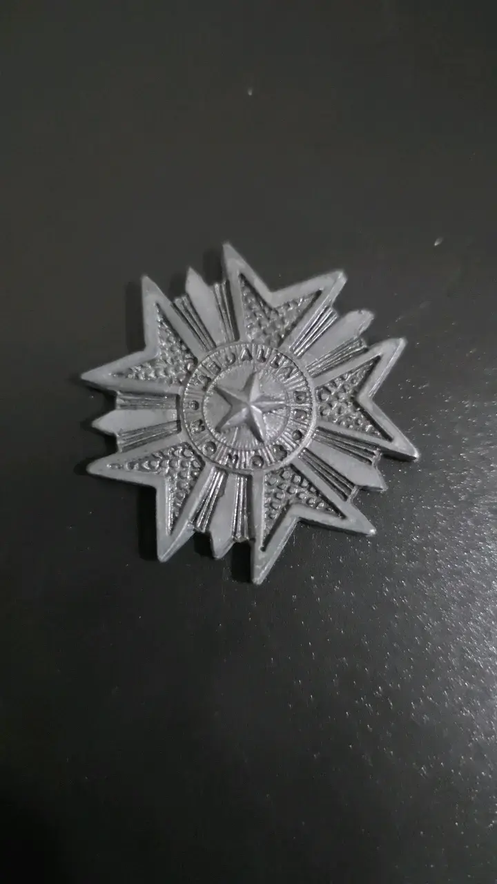 DRACMA/MEDALLA - Héroes de Chile - Salo - 2