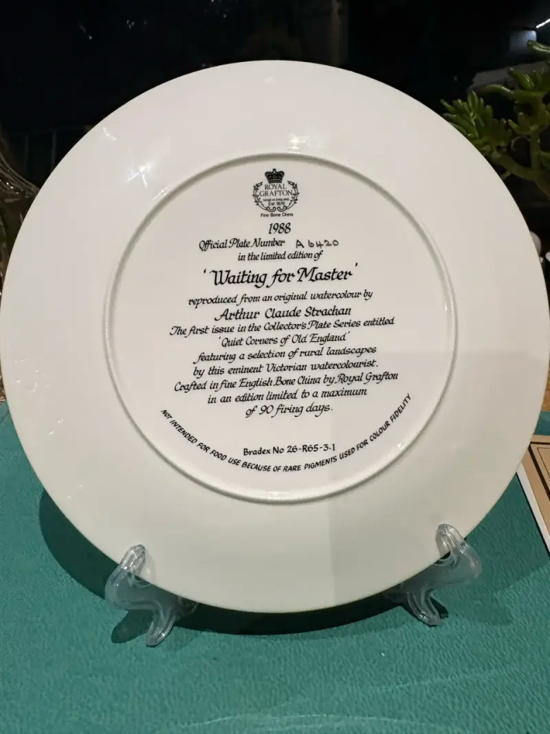 Plato decorativo Royal Grafton 'Waiting for Master' - 6