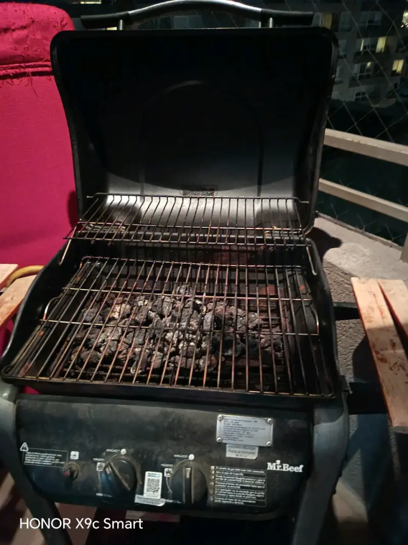 Parrilla a gas Mr. Beef con estantes laterales - 2