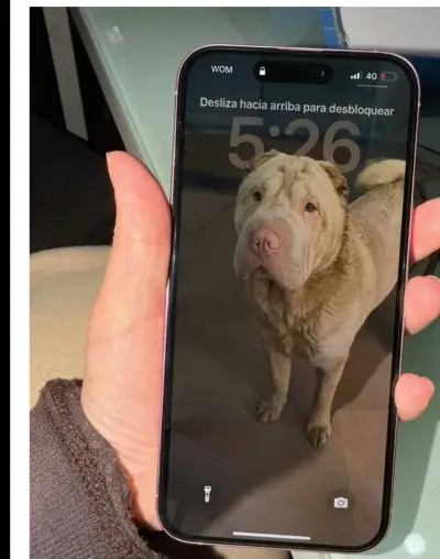 iPhone 16 plus  rosa en buen estado - miniatura 5