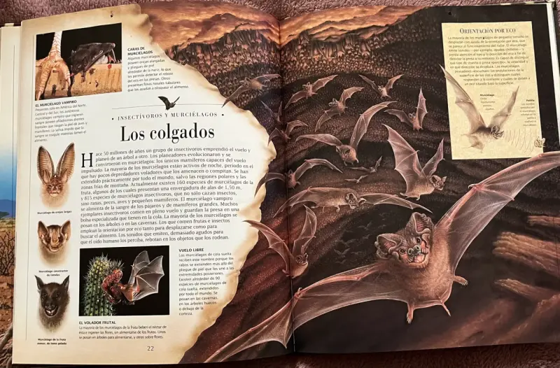 Libro ilustrado 'Mamíferos' de Descubrimientos - 4