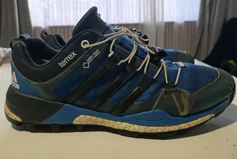 Zapatillas de Trekking Adidas Terrex Gore-Tex Azul - 1