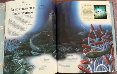 Libro 'La Vida Bajo El Mar' Descubrimientos - miniatura 2