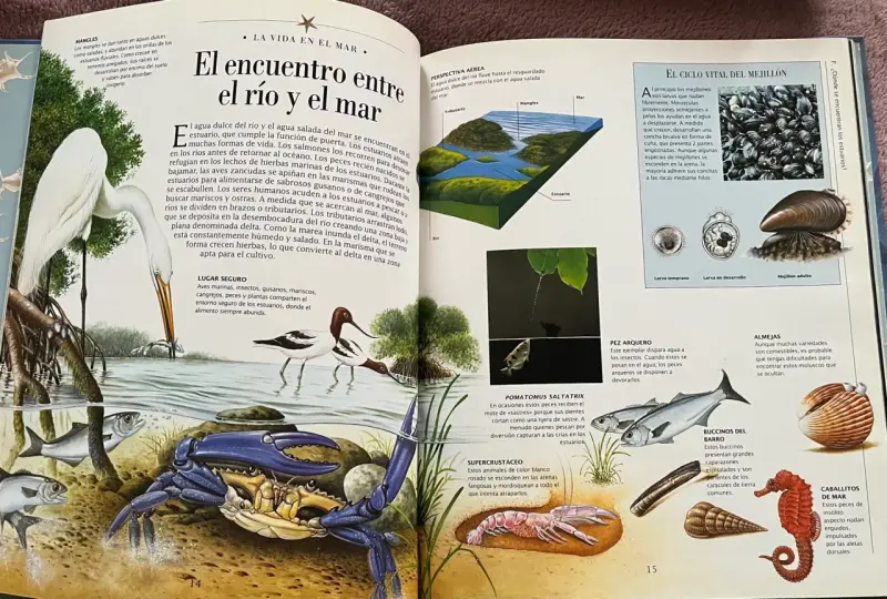 Libro 'La Vida Bajo El Mar' Descubrimientos - 3