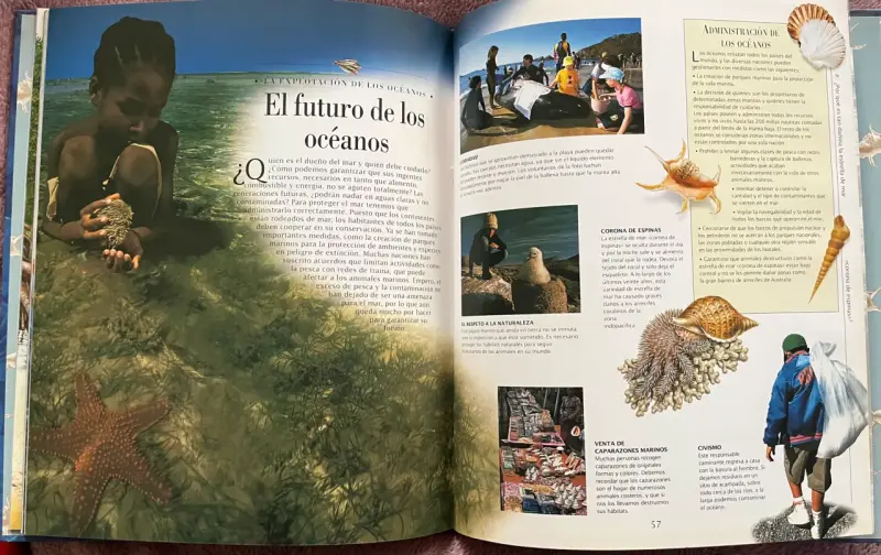 Libro 'La Vida Bajo El Mar' Descubrimientos - 4