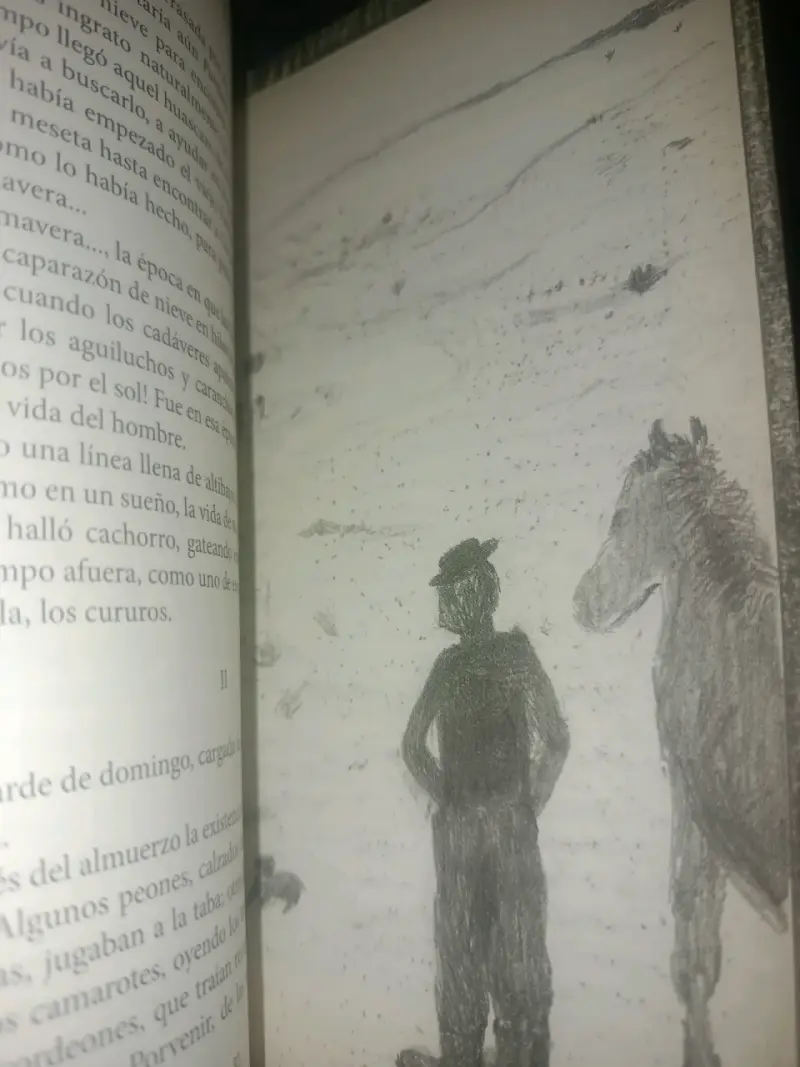 Libro Cabo de Hornos y Otros Cuentos de Francisco Coloane - 4