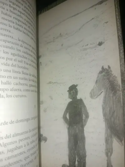 Libro Cabo de Hornos y Otros Cuentos de Francisco Coloane - miniatura 4