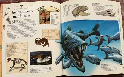 Libro Animales Peligrosos Descubrimientos - miniatura 2