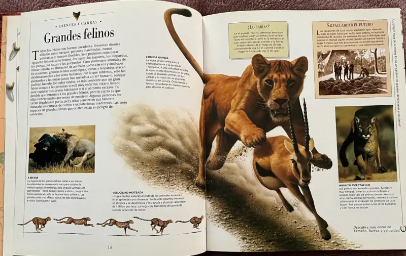 Libro Animales Peligrosos Descubrimientos - 3