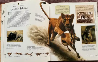 Libro Animales Peligrosos Descubrimientos - miniatura 3