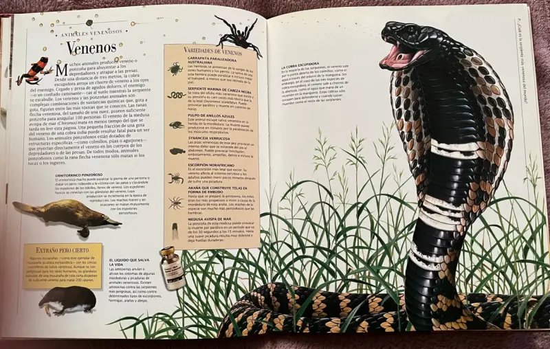Libro Animales Peligrosos Descubrimientos - 4