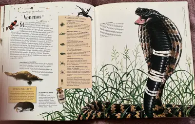Libro Animales Peligrosos Descubrimientos - miniatura 4