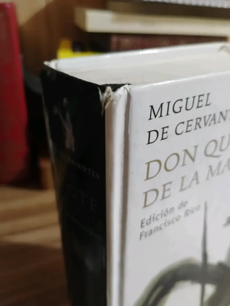 Don Quijote de la Mancha Edición de Francisco Rico - 2