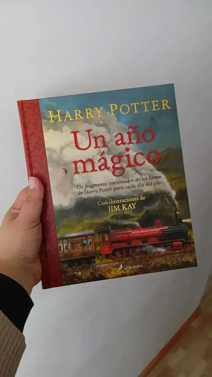 Libro ilustrado Harry Potter Un Año Mágico - 1