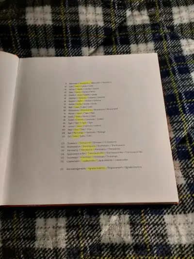 Libro Aprende a Dibujar animales y dinosaurios - miniatura 2