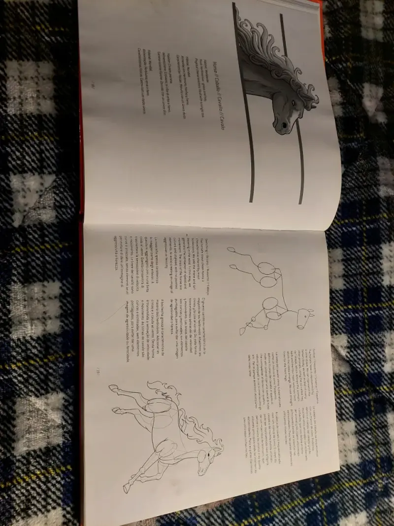 Libro Aprende a Dibujar animales y dinosaurios - 3