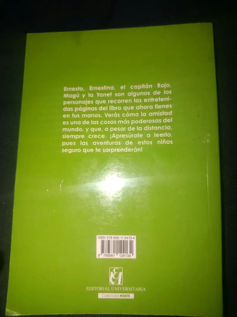Libro 'Una niña llamada Ernestina' de Enriqueta Flores - 2