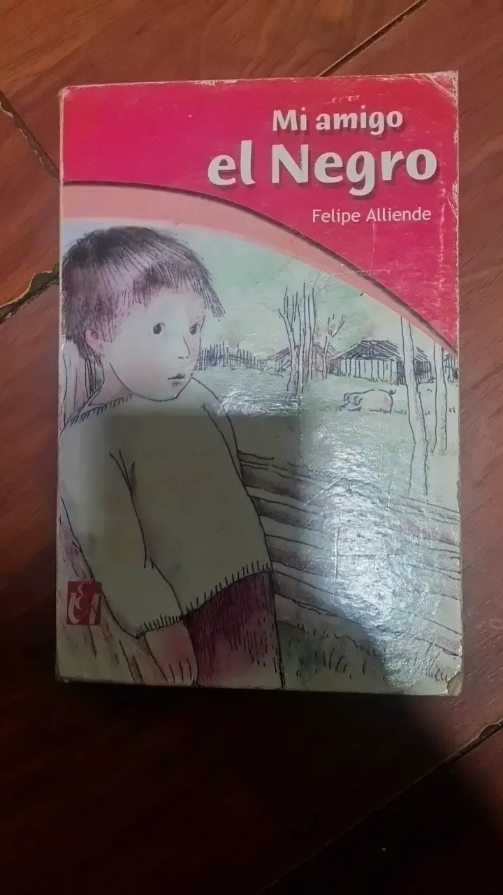 Libro 'Mi amigo el Negro' de Felipe Alliende