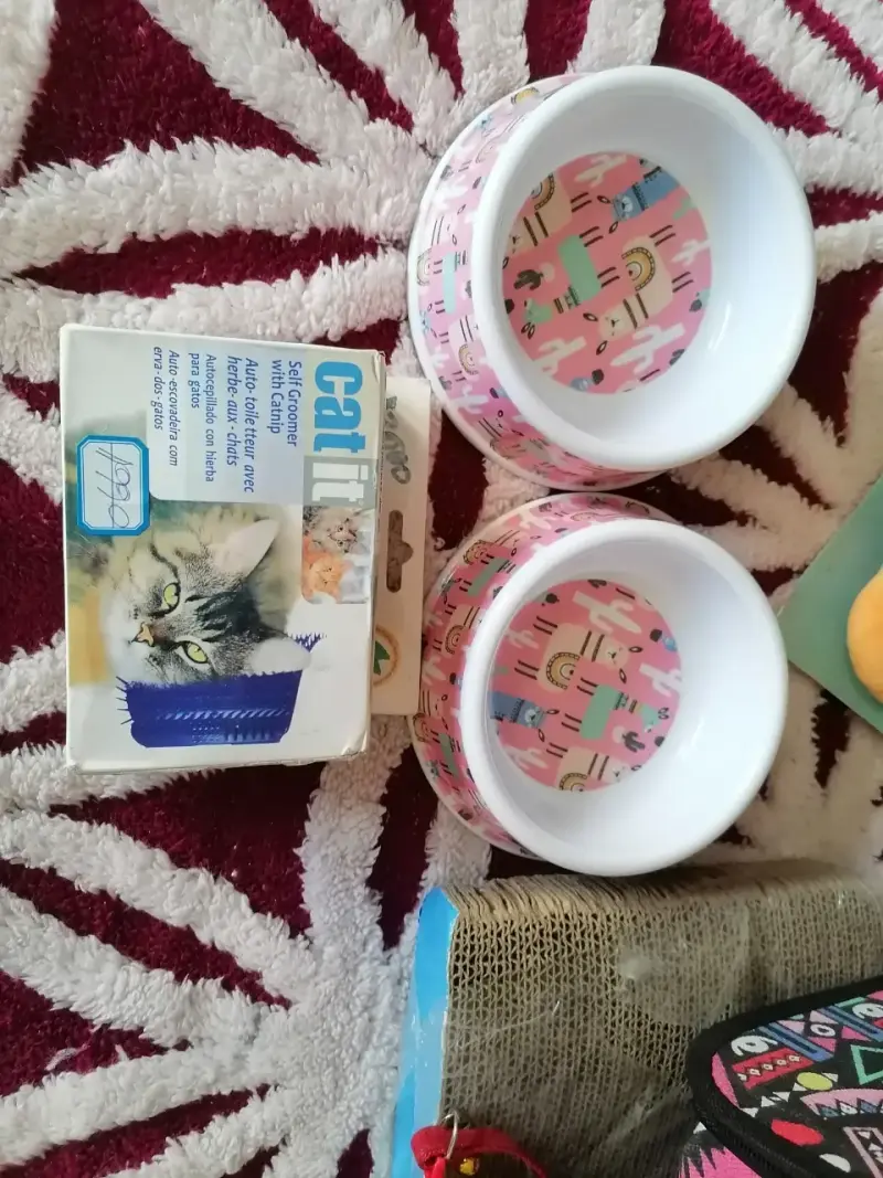 Set de accesorios para gatos con comedero y rascador - 1